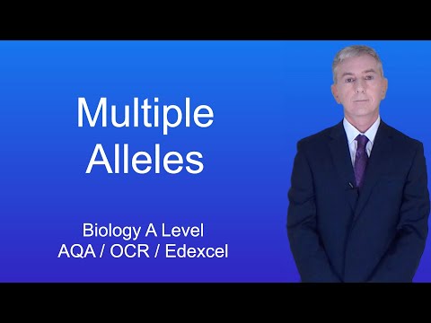 A Level Biology Revision (Year 13) "Multiple Alleles"