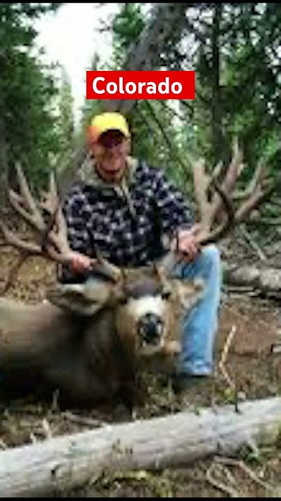 biggest-buck-shot-in-each-state-youtube