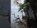 Paradise on Earth - Cahuita - Costa Rica 🇨🇷