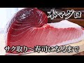 マグロの捌き方～大トロ中トロ赤身のサク取りから寿司になるまで