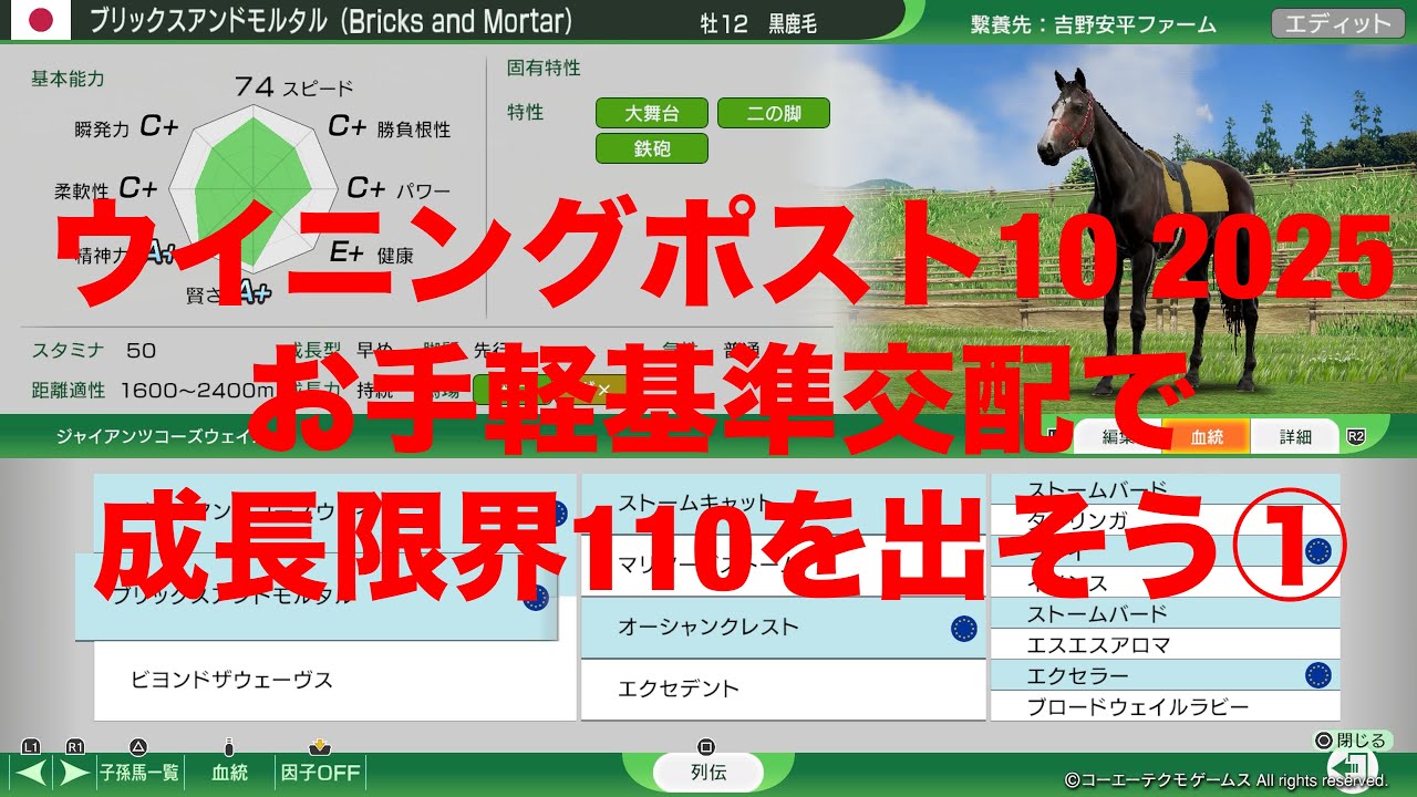 ウイニングポスト10 2025攻略　お手軽基準交配で成長限界110を出そう①
