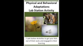 Physical And Behavioral Adaptations Worksheet Plant And Animal