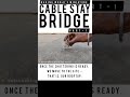 World’s Tiniest Cable-Stayed Bridge! | Cement Craft Engineering Project Part-1