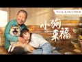 🔥忠犬護主!小女孩被人販子抓走,不料救她的竟是自己養的小狗,一路上保護她,拼死將小女孩救出!💕#總裁灰姑娘#甜寵#短剧全集#cdrama
