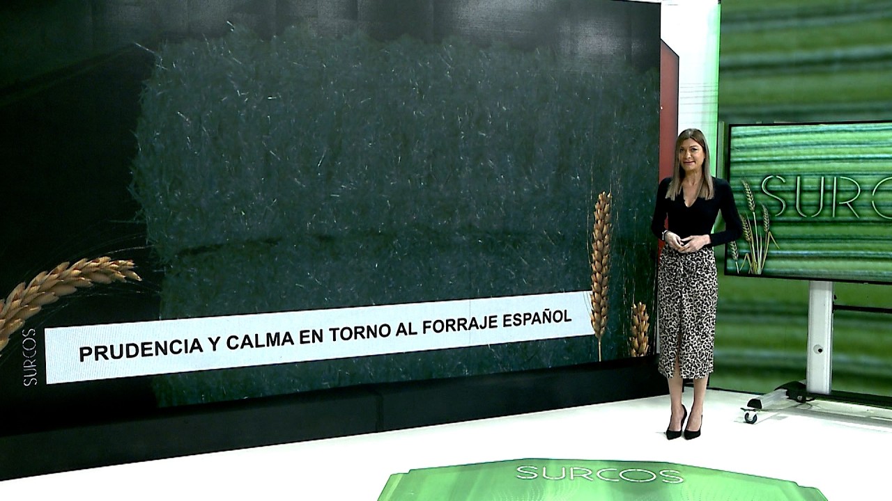 T17/E25: Problemas en la exportación de forrajes