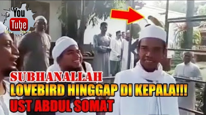Masya allah....burung hinggap di kepala ustadz abdul somad