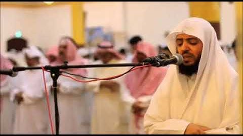 آيات من سورة الإنسان للقارئ وديع اليمني