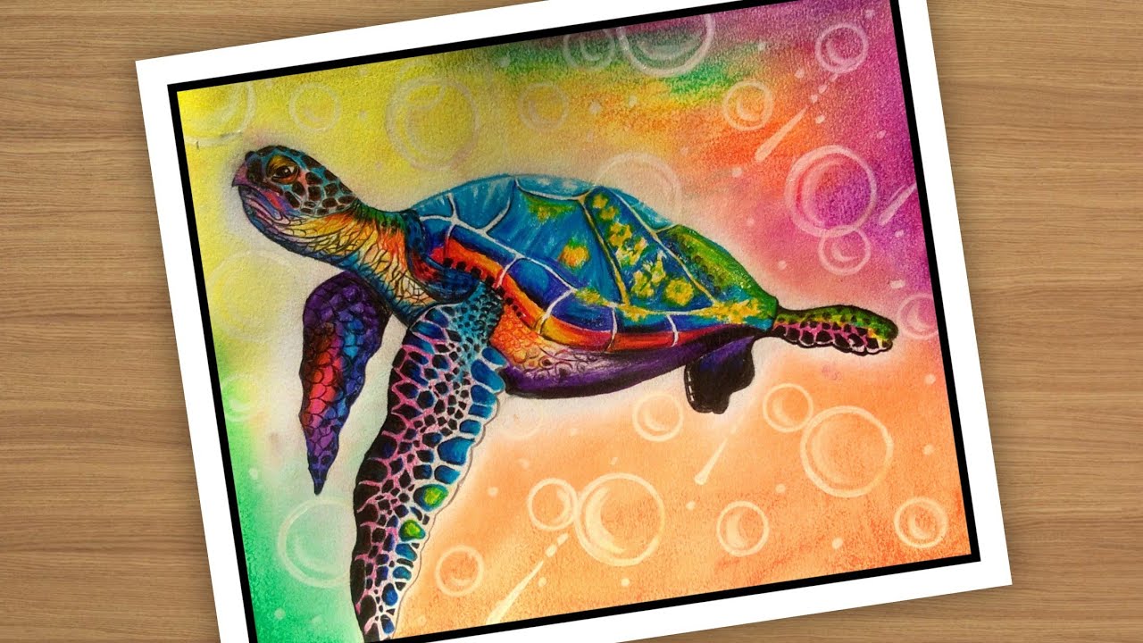 Beautiful tortoise drawing with pencil colour.