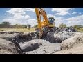 An Elephant Gets Rescued After 12 Hours of Being Stuck in the Mud