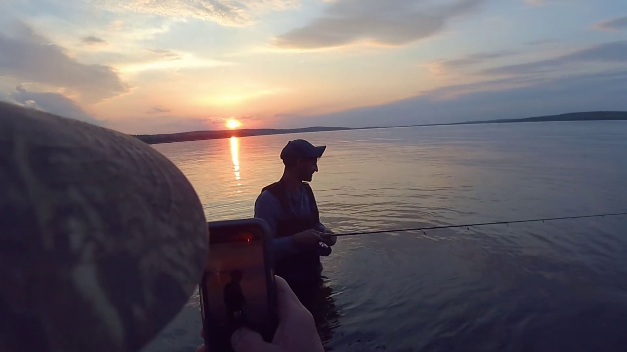 INSANE Wade Fishing! Chautauqua Lake!