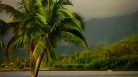 سورة النبأ 31-40 بصوت الشيخ محمود مبيض