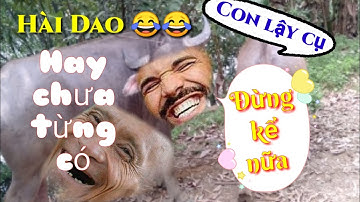 kể chuyện hài dân tộc dao tuyển chỉ có trên kênh "TRUYỆN CỔ DAO TUYỂN "