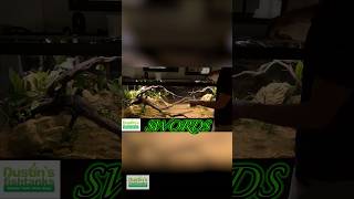 125 Gallon Aquascaping Time Lapse!
