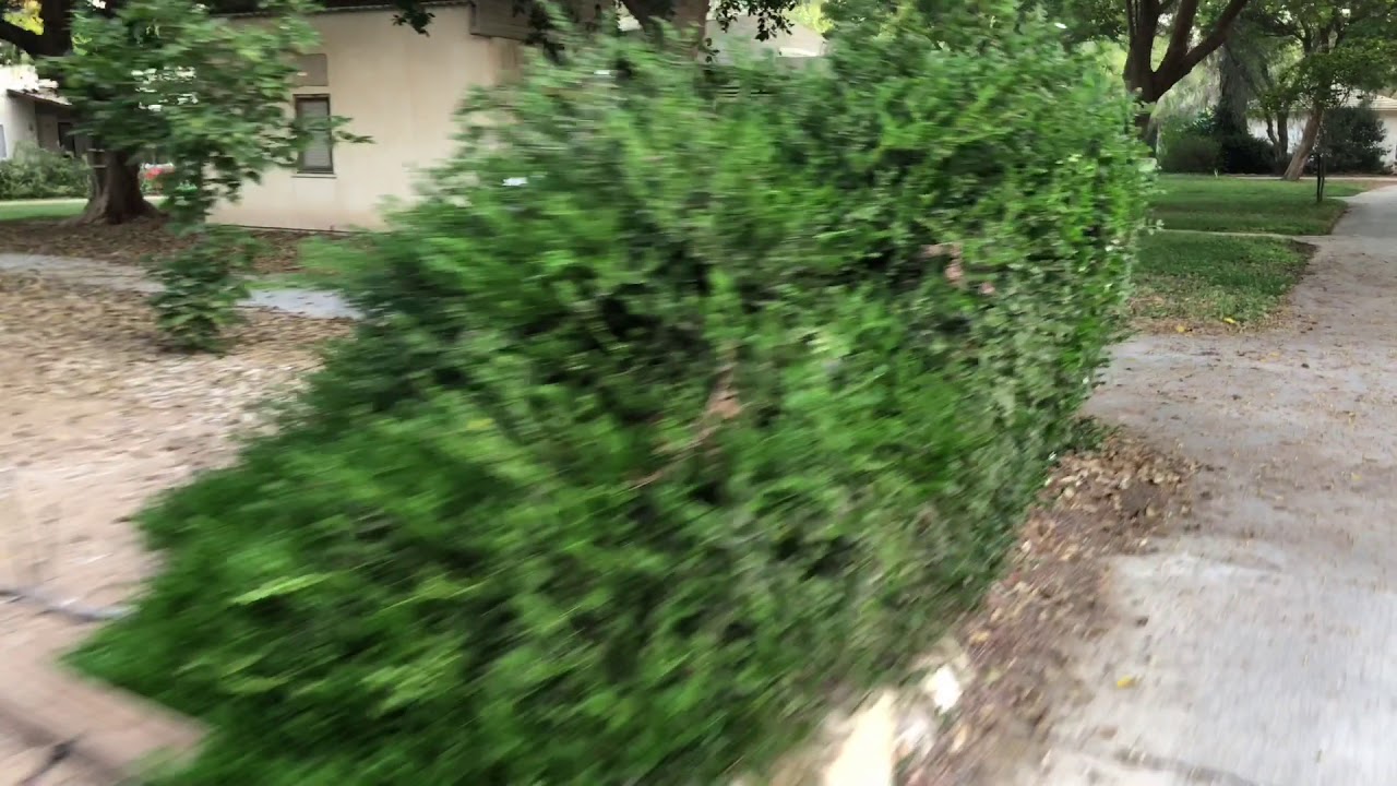 קיבוץ גבולות