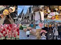 Japan diaries eps2  disneysea  disneyland