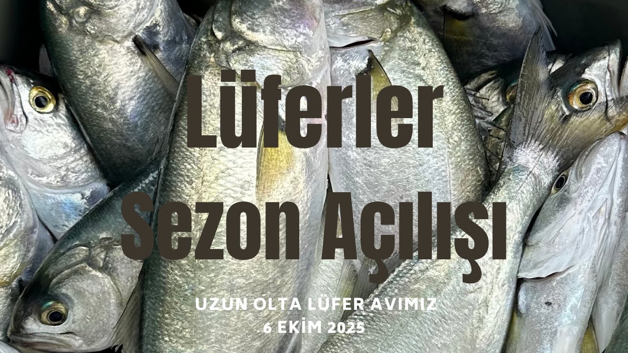🎣 Lüfer Sezonunu Açtık! | 6 Ekim Sarayburnu’nda Canlı Zarganayla İlk Avımız 🚤🐟