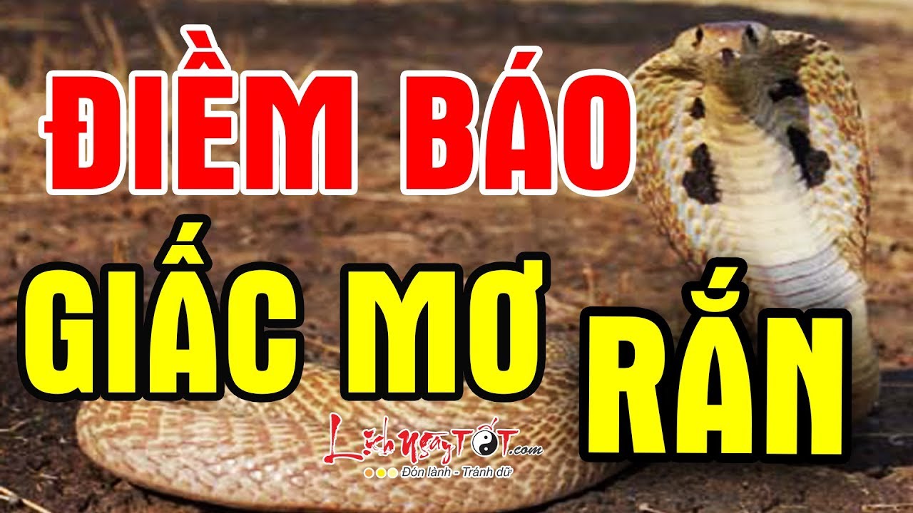 dabet - Điềm Báo Và Những Điều Cần Biết