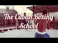 The cuban boxing school