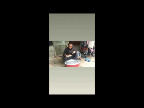 Video XUÝT ĐỔ #shorts - youtube