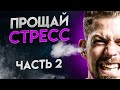 Как победить стресс | 7 способов как избавиться от стресса | Часть 2 | Биохакер