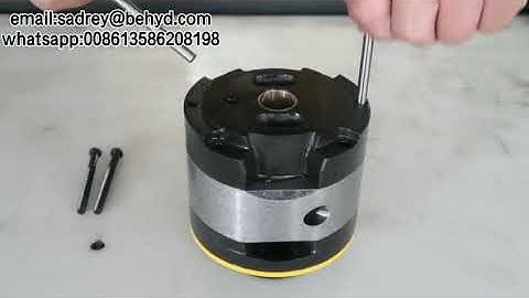 How to change the rotation of vane pump?