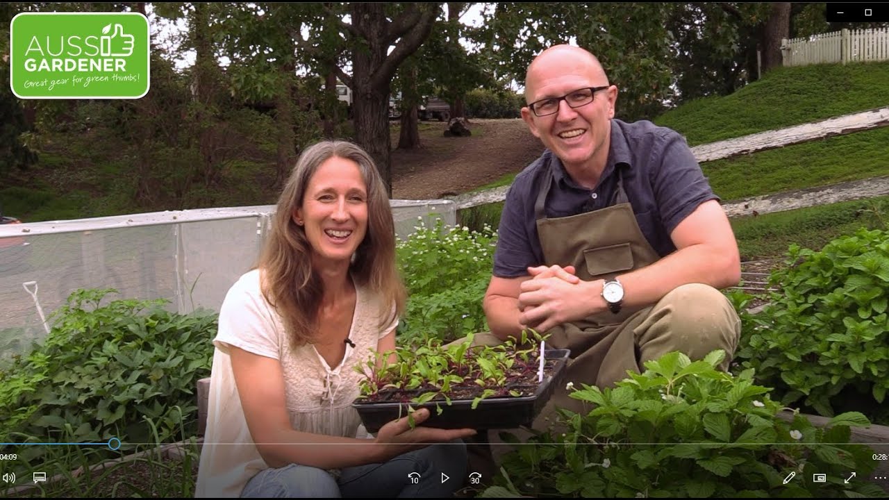 Episode 1 Growing Veggies in Australia the easy way - YouTube
