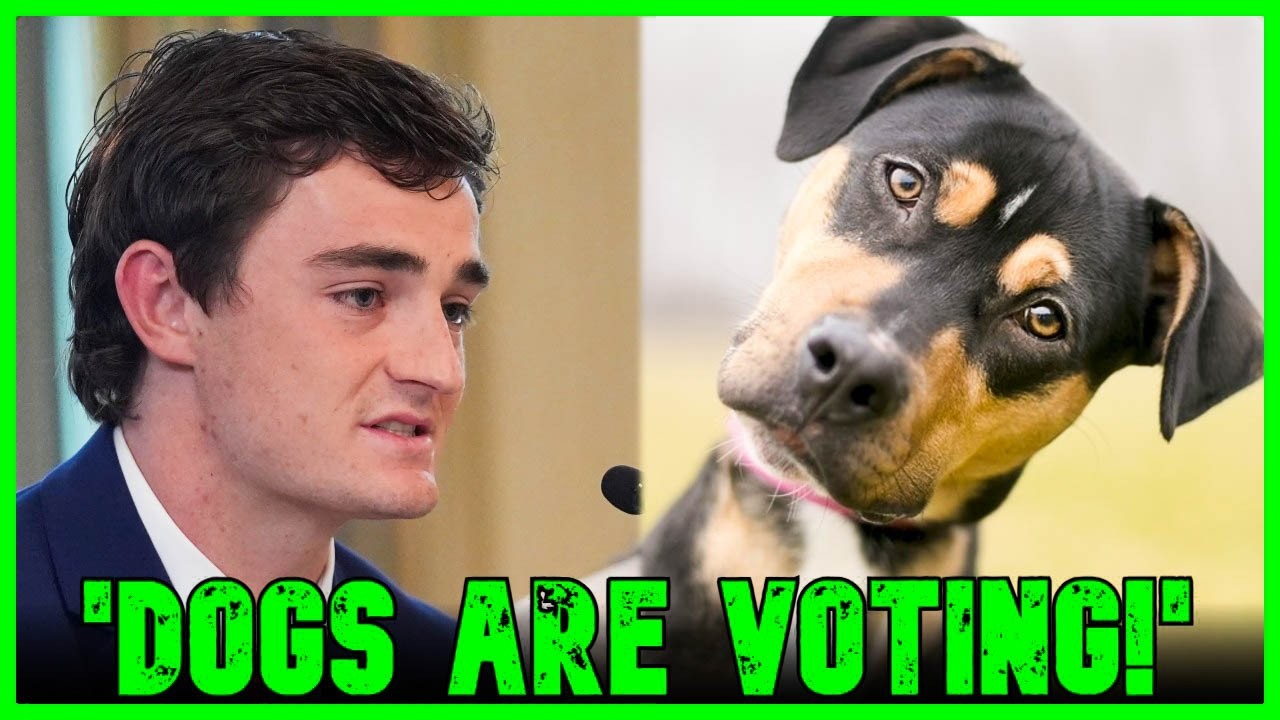 Little Freak Boy Nick Shirley Is Falling Apart | The Kyle Kulinski Show