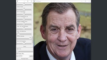 GANSpace: Discovering Interpretable GAN Controls