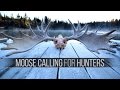 Moose Calling Techniques How To Eastmans 39 Hunting mp3