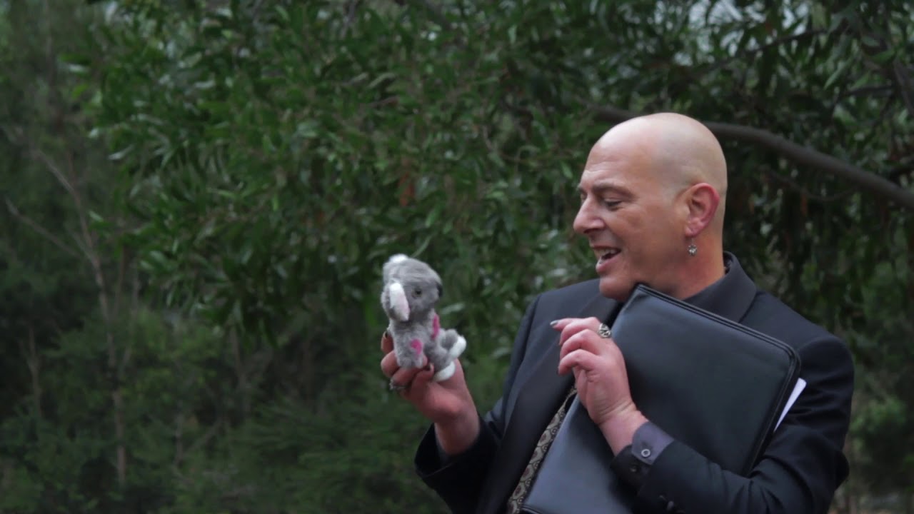 Sinema Obscura shout out zombie apocalypse