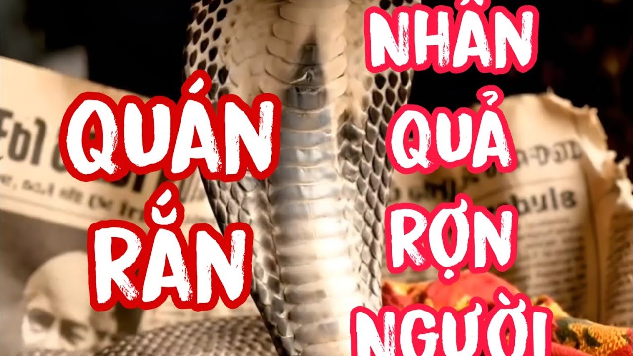 Quán Rắn - Nhân Quả Rợn Người 