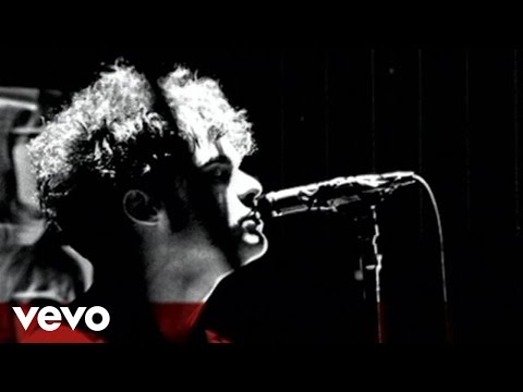 Black Rebel Motorcycle Club - What Ever Happened To My Rock And Roll (Punk Song)