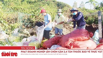 Phạt doanh nghiệp lén chôn gần 2,4 tấn thuốc bảo vệ thực vật 255 triệu đồng