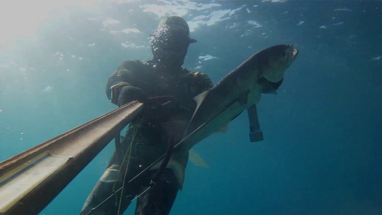 Shallow spearfishing - Sectus 95 ep.1 (A.Mpakolas)