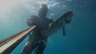 Shallow spearfishing - Sectus 95 ep.1 (A.Mpakolas)