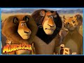 Alex Meets His Family DreamWorks Madagascar 
