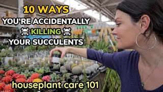 Save Your Succulents: 10 Ways You’re Killing Succulents - Houseplant Care 101 - Succulent Care Guide