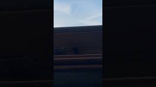 Startled Youngman's Encounter with Two Spiders on Window