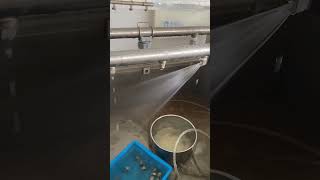 KMECO P Design Flat Fan Spray Nozzle#nozzle #spray #rinsing #cleaning #washing
