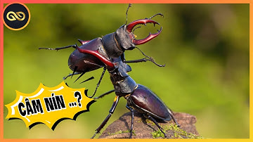 UNLIMITED #97: De miljarden-dollar KEVER-oorlog