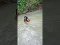 Ibu Sri Belajar Berenang di Sungai