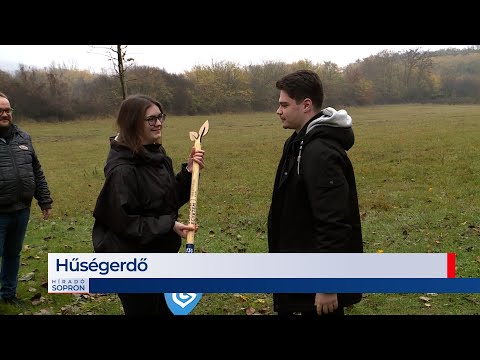 Híradó - 2022.11.16. - Szerda– SopronTV