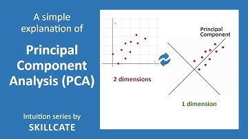 PCA Intuition | Principal Component Analysis for Dimensionality Reduction | Simple Explanation