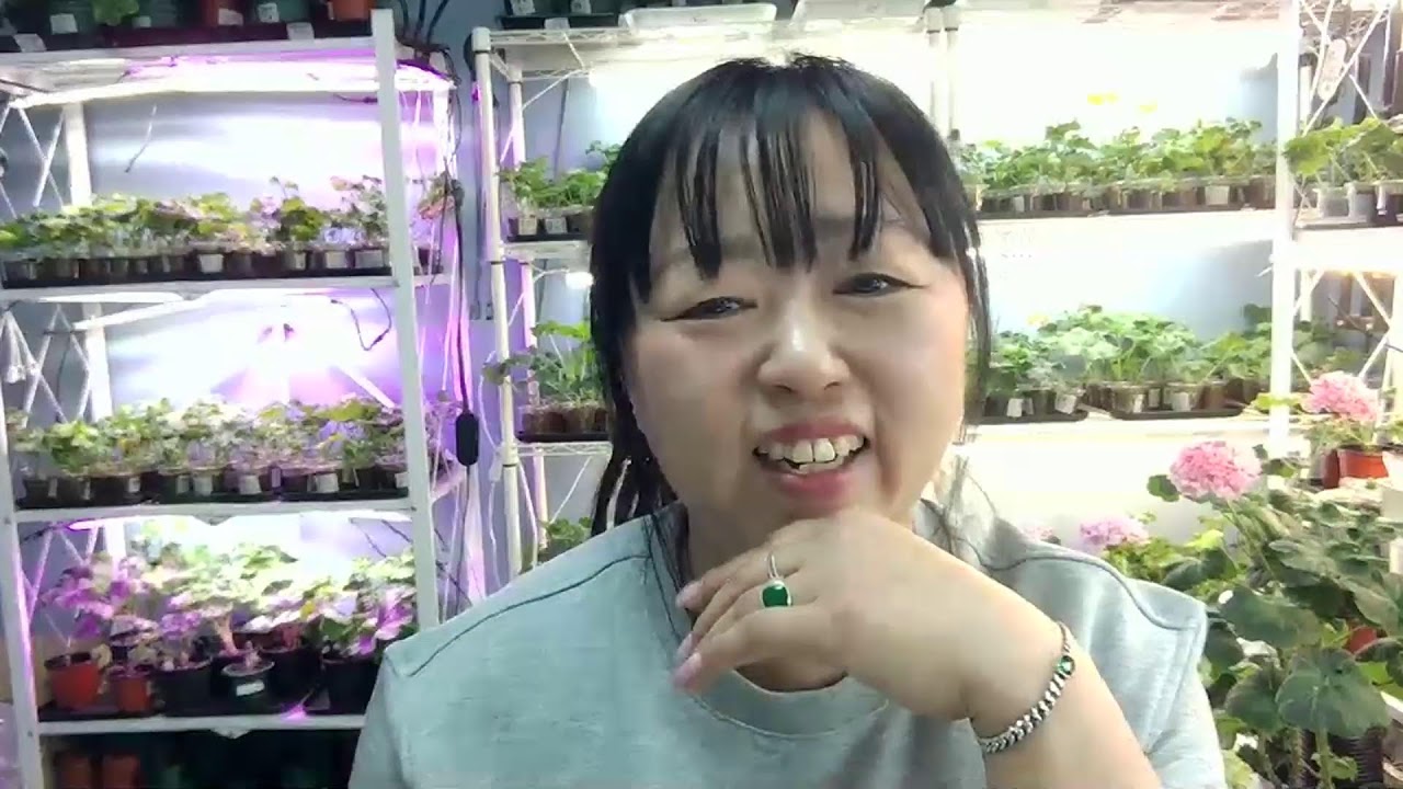 즐거운 ?????명절 ?/??즐거운 주말
