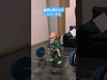 【閲覧注意】可愛すぎて語彙力を失う動画 👶✨