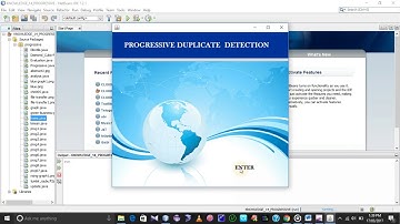 Progressive Duplicate Detection