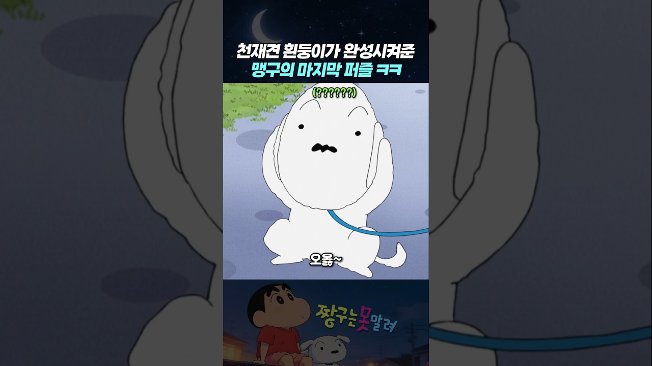 천재견 흰둥이가 완성시켜준 맹구의 마지막 퍼즐 ㅋㅋ