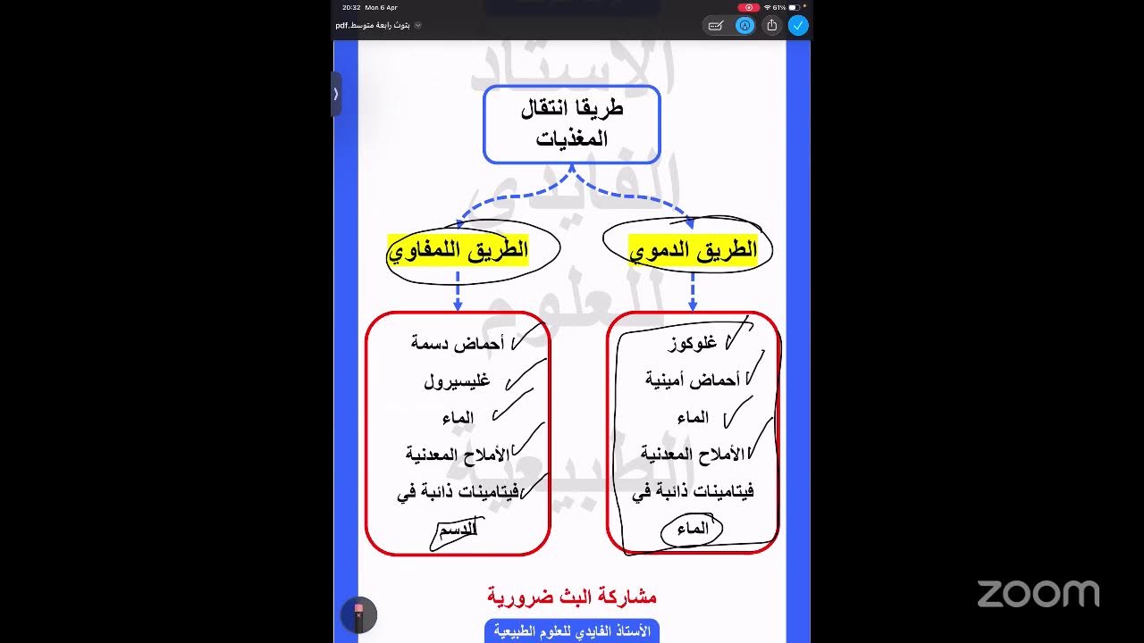 بيام 2026 أقوى مراجعة الحصة 3