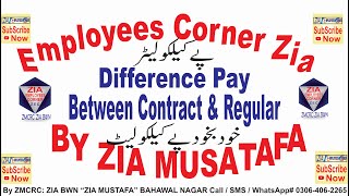 Pay Difference Between Contract And Regular Employees Pay Difference By Pay Calculator 2021