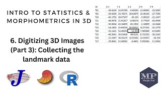 Celebrity 6. Digitizing 3D Images (Part 3): Collecting the landmark data [Highly recommended] Viewbox Wealth